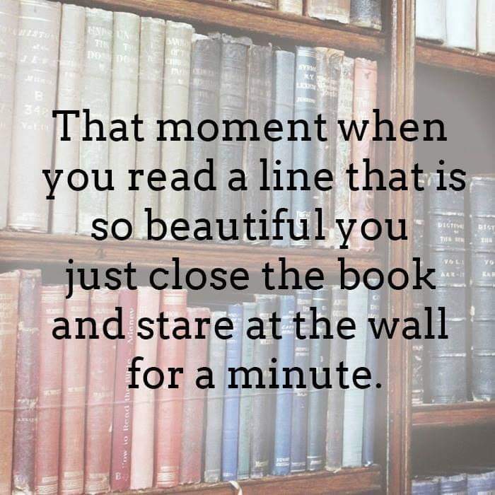 MFBTlh's tweet photo. Who else is soaking in the words today? 
#booklover #reader #booknerd #tallahassee #ihearttally #bookstore  #booklove https://t.co/lydKSi1B4e