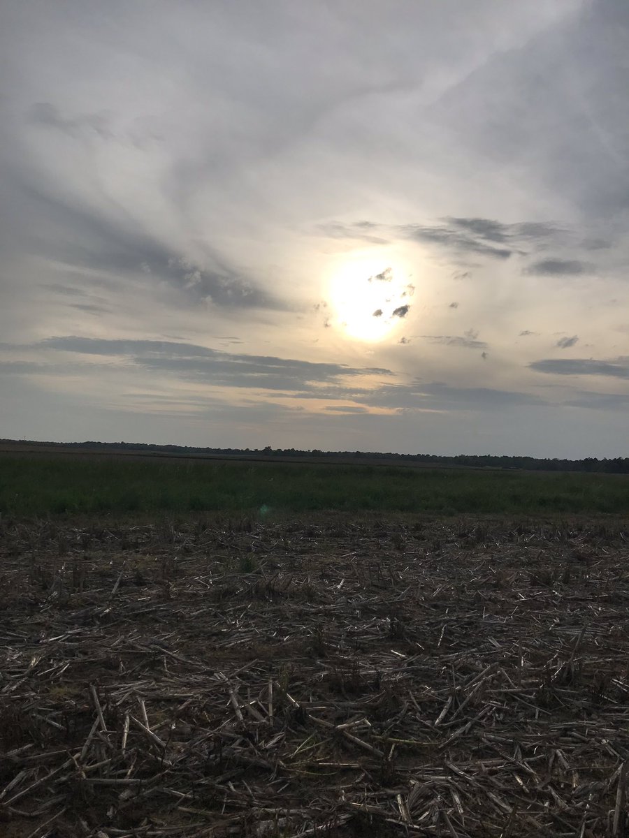 4 plots in 2 days! Hope the rain holds off another couple days to get some more seed in the ground!