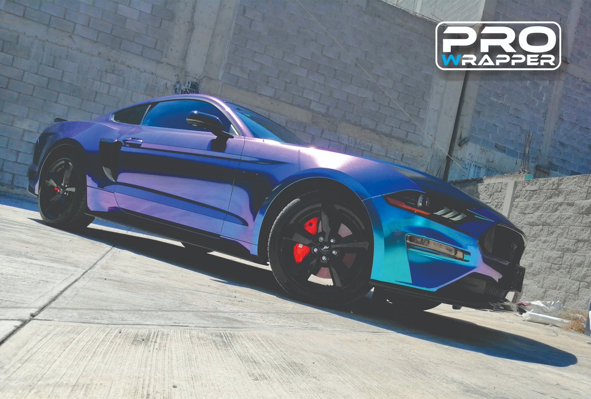 ProWrapperMX's tweet image. 🐎𝗠𝘂𝘀𝘁𝗮𝗻𝗴🐎
!Impresionante color para un espectacular Muscle Car!

☑️FullWrap con Vinil Gloss Purple Blue CK892G
☑️Franjas Black Hyper Gloss
☑️Cofre en Satin Black 3M 1080Series con Franjas Repelladas 

No olvides agendar tu cita
 𝙏𝙚𝙡: 55 5904 0211 
Face: Pro Wrapper MX