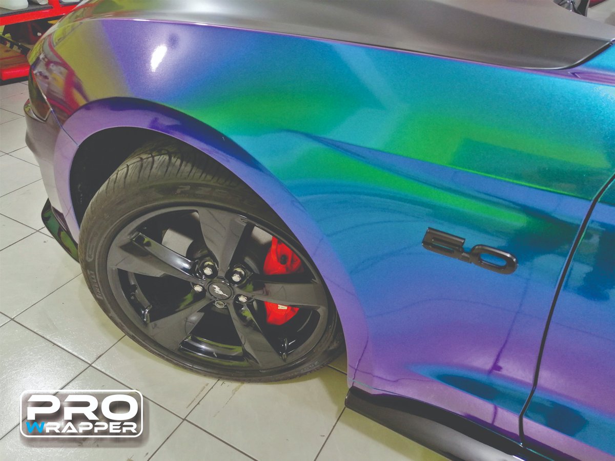 ProWrapperMX's tweet image. 🐎𝗠𝘂𝘀𝘁𝗮𝗻𝗴🐎
!Impresionante color para un espectacular Muscle Car!

☑️FullWrap con Vinil Gloss Purple Blue CK892G
☑️Franjas Black Hyper Gloss
☑️Cofre en Satin Black 3M 1080Series con Franjas Repelladas 

No olvides agendar tu cita
 𝙏𝙚𝙡: 55 5904 0211 
Face: Pro Wrapper MX