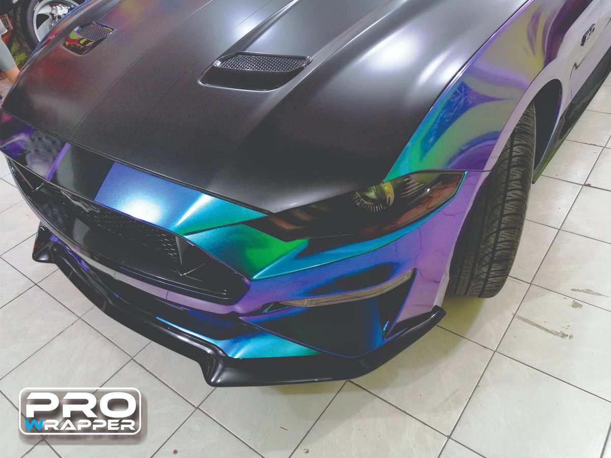 ProWrapperMX's tweet image. 🐎𝗠𝘂𝘀𝘁𝗮𝗻𝗴🐎
!Impresionante color para un espectacular Muscle Car!

☑️FullWrap con Vinil Gloss Purple Blue CK892G
☑️Franjas Black Hyper Gloss
☑️Cofre en Satin Black 3M 1080Series con Franjas Repelladas 

No olvides agendar tu cita
 𝙏𝙚𝙡: 55 5904 0211 
Face: Pro Wrapper MX
