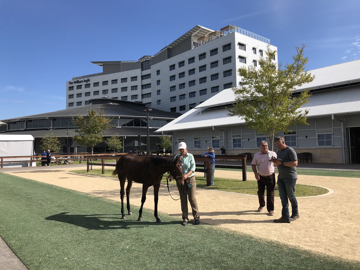 inglis_sales's tweet photo. Inspections continue at #RiversideStables ahead of the Weanlings selling tomorrow! https://t.co/o5iP0UF9fZ