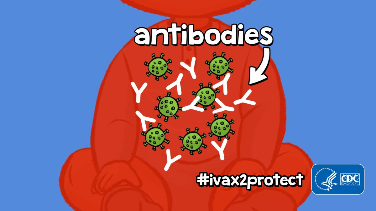 Your baby’s immune system creates antibodies to fight infection and protect your baby against illness – but there are some diseases his body can’t handle. 

That’s where #vaccines come in. Commit to saying #ivax2protect. #HowVaccinesWork
