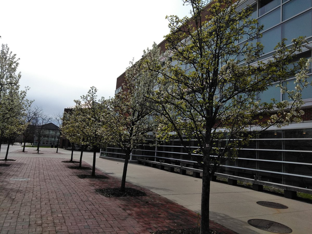 KSCAppianWay hashtag on Twitter