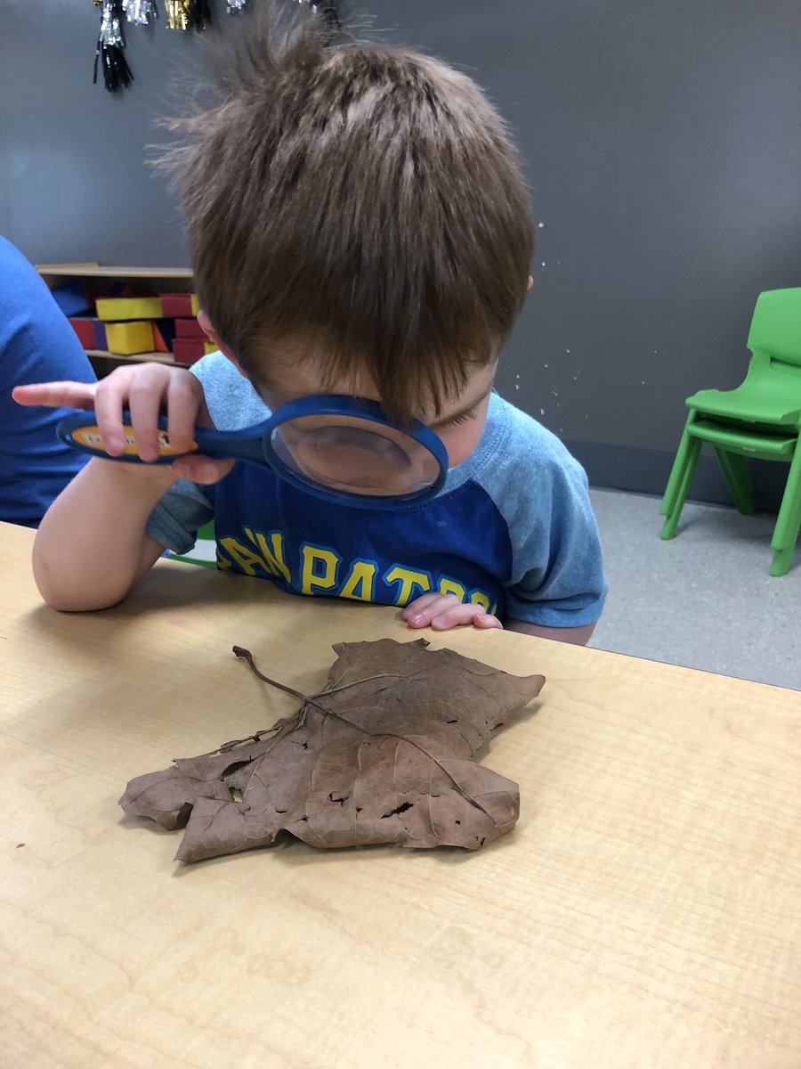 MsKaylaelc's tweet photo. Exploring nature this morning in class 🌿🌻 https://t.co/3h6wARCMj7