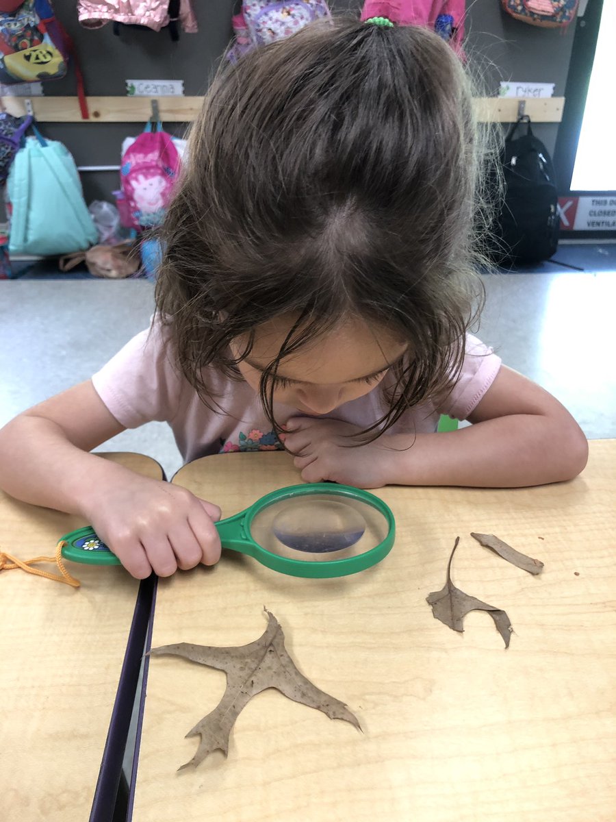 MsKaylaelc's tweet photo. Exploring nature this morning in class 🌿🌻 https://t.co/3h6wARCMj7