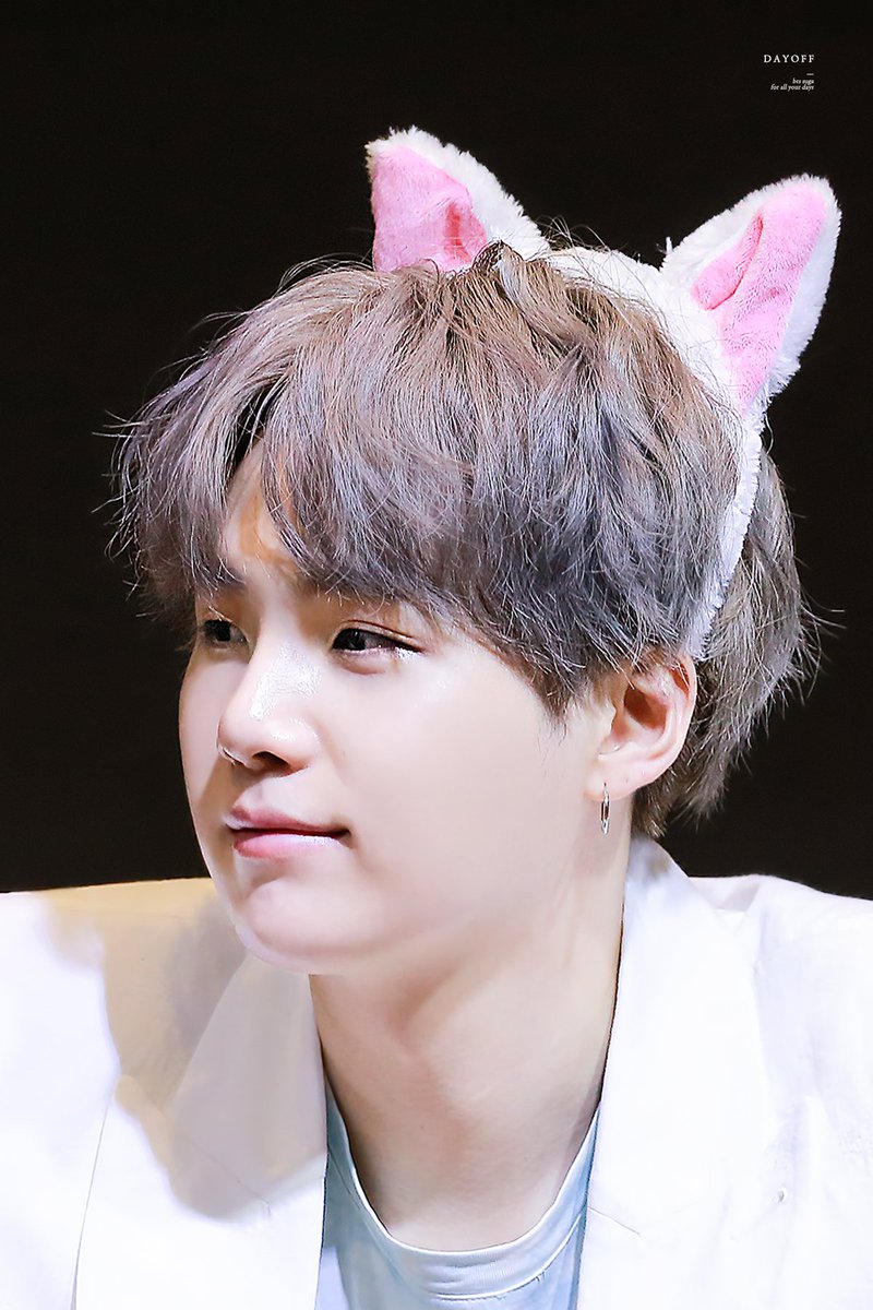little cat suga