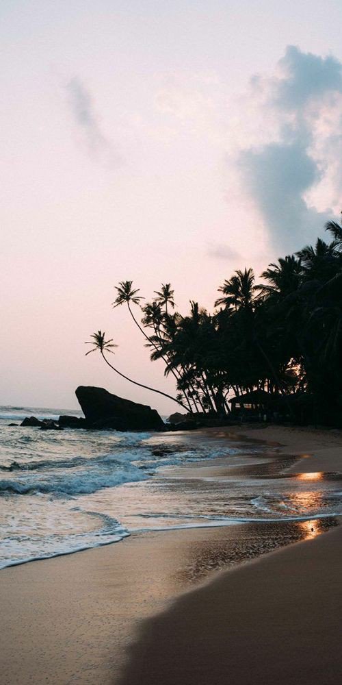 lustful9x's tweet image. Please protect this country at all costs 🇱🇰❤️
#SriLanka 
#PrayforSriLanka 
#savemycountry