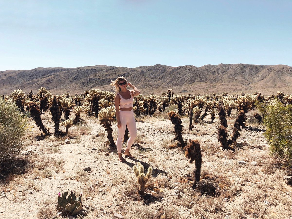 grocerieslab's tweet photo. R O A D T R I P S through @joshuatreenps ⚡️@fitandflygirl @traveloutsidethebox in the Fitted Crop + Front Seam Leggings https://t.co/jAHujhdrIJ