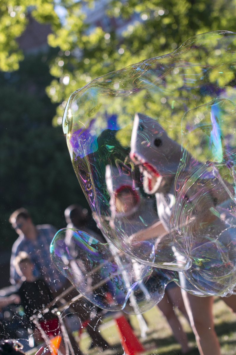 Lovethe419's tweet photo. Okay, who is ready for spring ☔️ showers to go away and @thebubblesharks 🦈 to come out and play!! #lovethe419

#bubblesharks #bubbles #inthe419 #toledo #thisistoledo #summer https://t.co/OhA3BHK6Z1