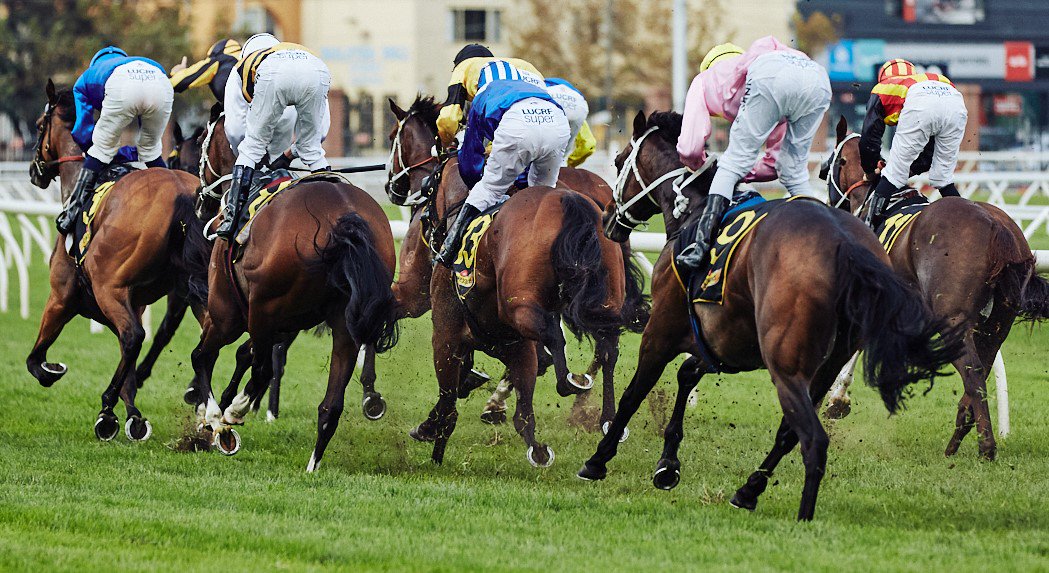 Australian Turf Club (@aus_turf_club) on Twitter photo Good fields for Saturday <a href="/royalrandwick/">Royal Randwick</a> on #Kensington track.
9 races on the day, 1st at 11.40am, last 4.45pm. Track currently rated a Good 4.
Fields: racing.australianturfclub.com.au/meeting/3363 Good fields for Saturday <a href="/royalrandwick/">Royal Randwick</a> on #Kensington track.
9 races on the day, 1st at 11.40am, last 4.45pm. Track currently rated a Good 4.
Fields: racing.australianturfclub.com.au/meeting/3363