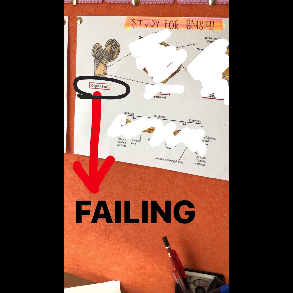 swiftlywonders1's tweet image. I WAS TRYING TO STUDY BUT NOW IM ONLINE BECAUSE @taylorswift13  SAID SHE IS LURKING TWITTER TONIGHT, SHES UP TO SOMETHING 👀💋
@taylorswift13 @taylornation13 
🇦🇺🦋🇦🇺🦋🇦🇺🦋🇦🇺🦋🇦🇺🦋🇦🇺
#taylorswift #taylornation #taylurking #swift #Me! #ME #MEmusicvideo