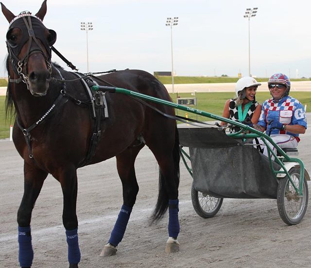 Kempenfelt Rotary tweet media