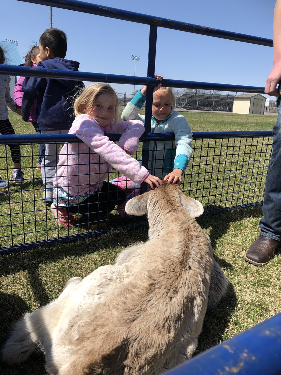 MrsFreeman_K's tweet photo. Agriculture Day! Thank you Paynesville Area FFA for coming to visit us! https://t.co/n24oAsPcY2