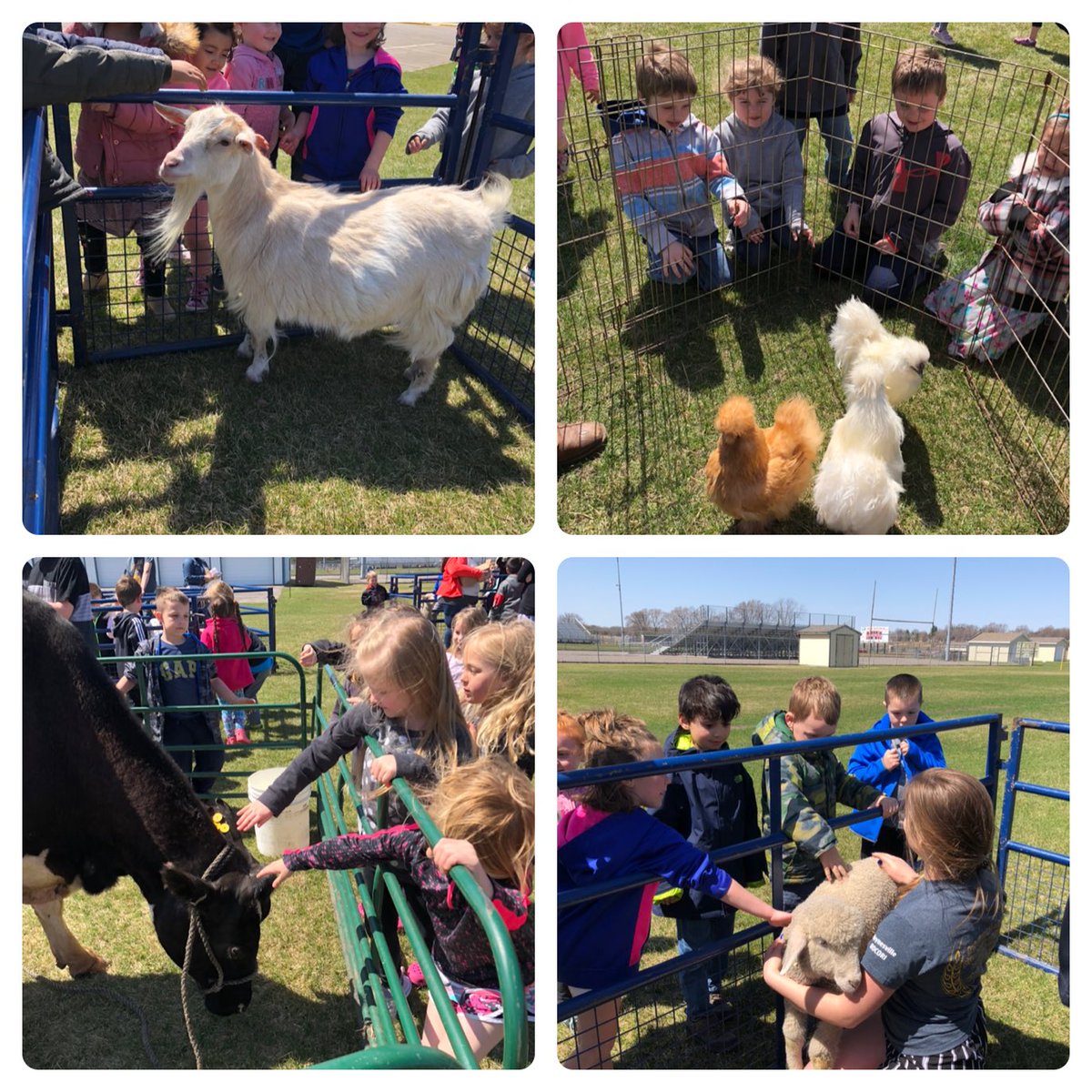 MrsFreeman_K's tweet photo. Agriculture Day! Thank you Paynesville Area FFA for coming to visit us! https://t.co/n24oAsPcY2