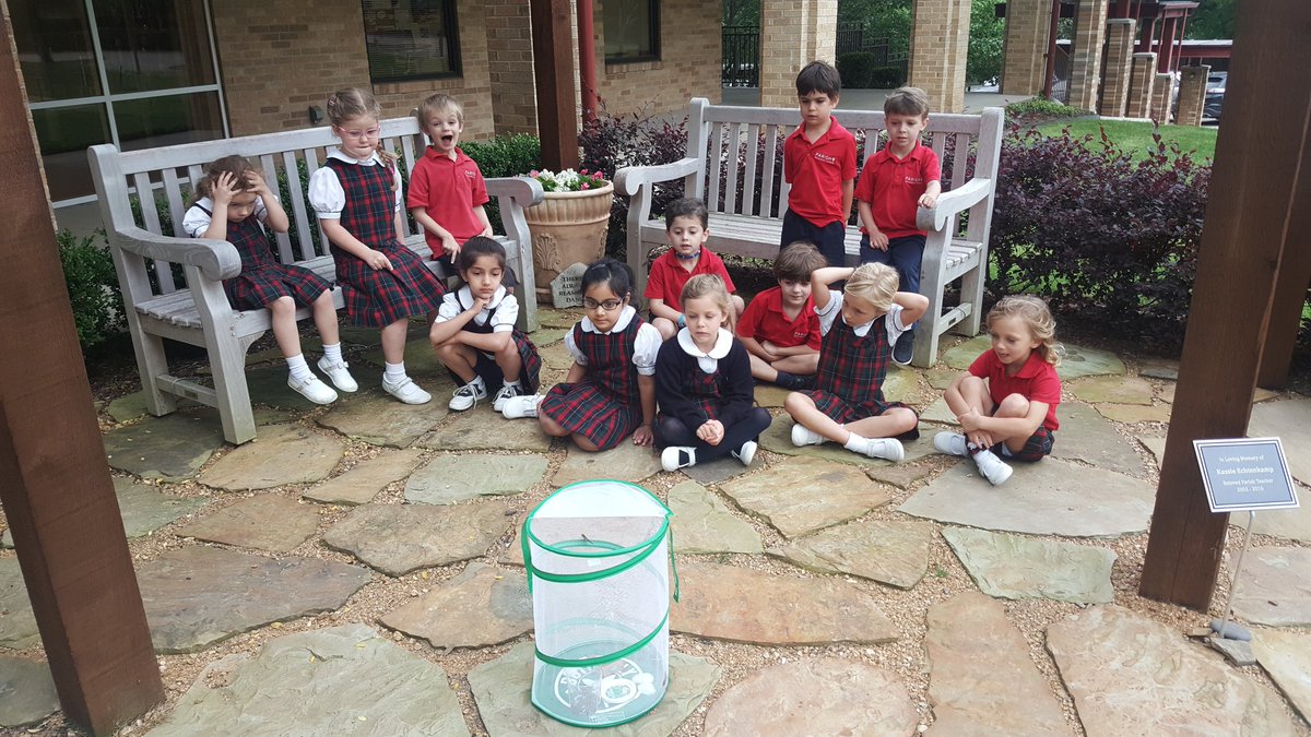 Desiree Gibson tweet media