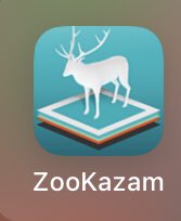 MIS PEQUE TICS: CONTINUAMOS... AHORA TOCABA CONOCER UN POQUITO A LAS ARAÑAS... mispequetics.blogspot.com/2019/05/contin… USAMOS LA APP #ZOOKAZAM