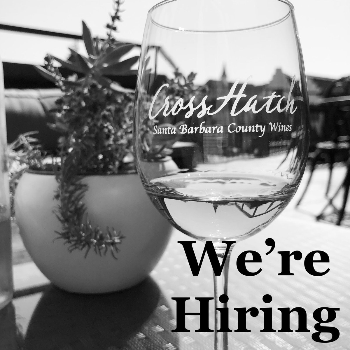 CrossHatch Winery in Solvang, CA is looking for a Tasting Room and Marketing Manager. Stop by to drop off your resume or email us at the link below. #winejob #winery #winelover #SolvangUSA 
Bit.ly/CHTRMGR