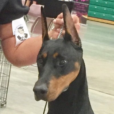 MacLeanTracy's tweet photo. #NewProfilePic https://t.co/mHnpdH9WmS