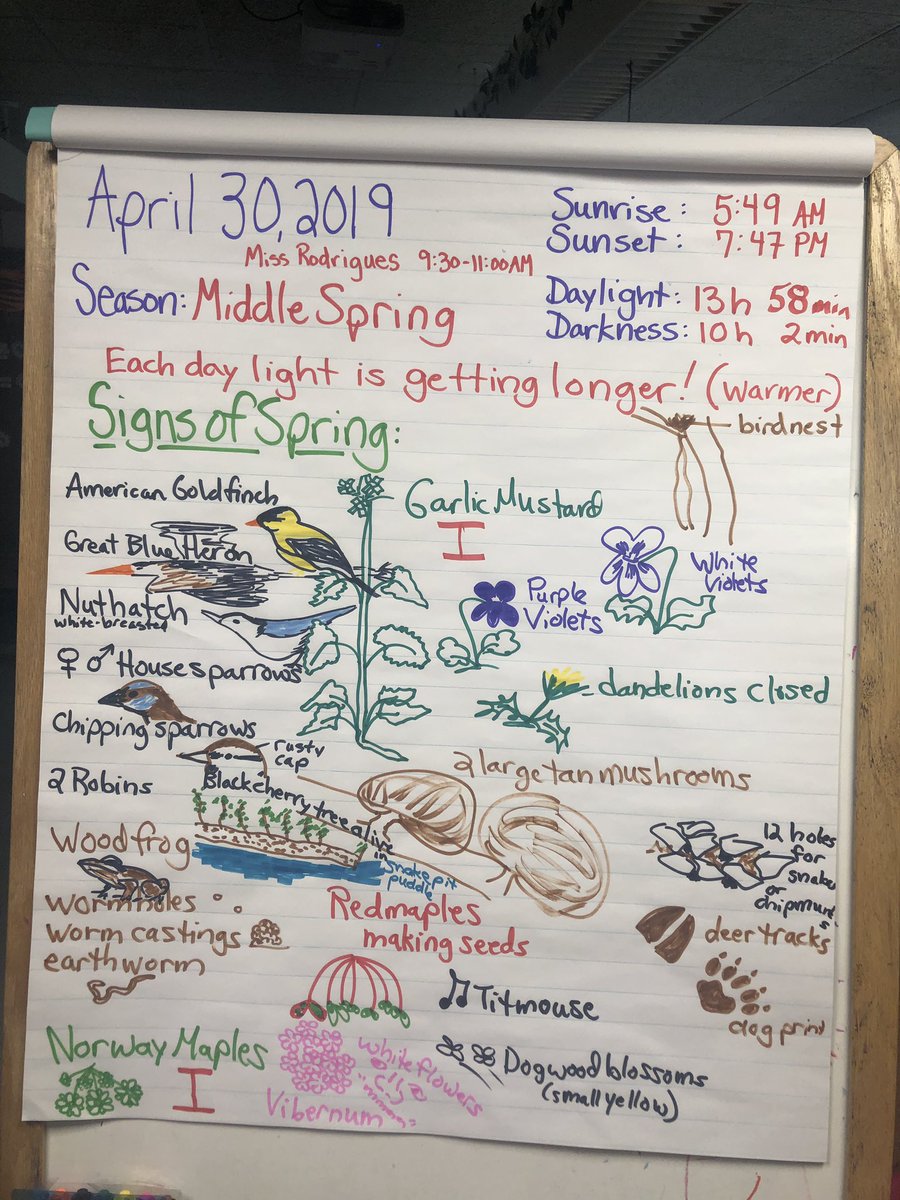 Ashley Rodrigues tweet media