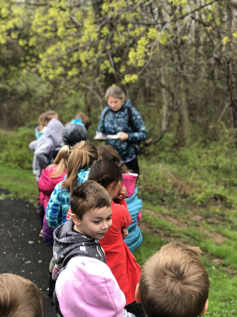 Ashley Rodrigues tweet media