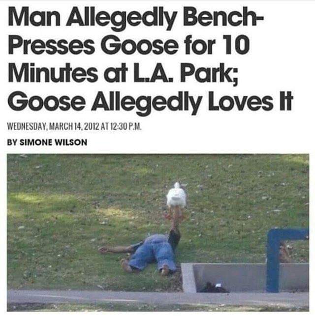 TheTango571's tweet photo. @fl0m spotted in L.A. https://t.co/1O2Ze8acwK
