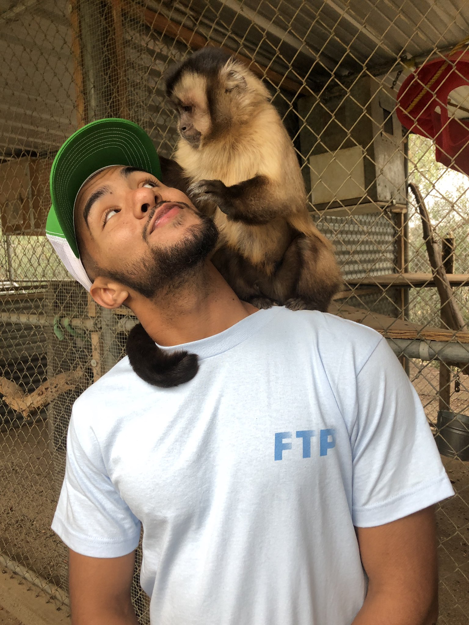 Brother Nature on Twitter "At first I thought it was love at first(02)