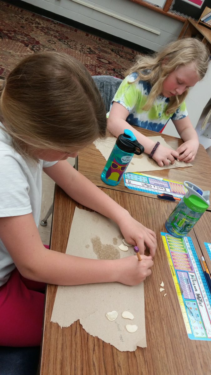 This week in science and reading 2nd graders are learning about plants and seeds. Today students dissected a lima bean and identified the parts of a seed. #HuskyNProud <a href="/NPElemSchool/">NP Elementary</a> <a href="/NPHuskies/">Nashua-PlainfieldCSD</a>