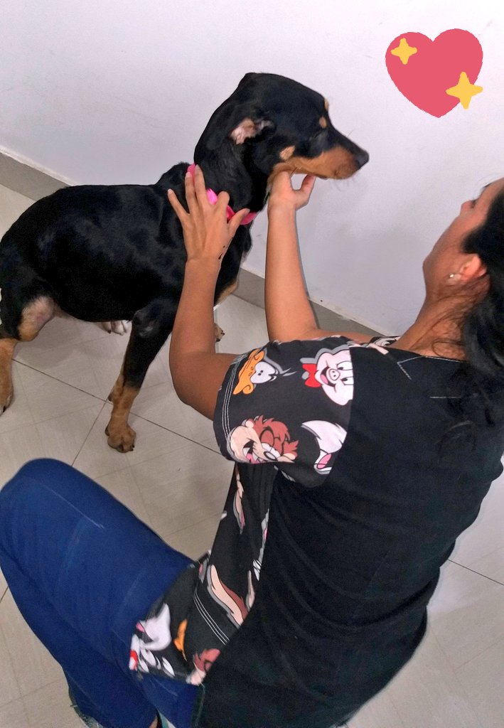 incondic_peru's tweet photo. #Rambala 💕🐕
Empezó su dosis de Hemolitan, este remedio le sirve para mejorar la anemia severa, desnutrición y carencias en la formación de glóbulos rojos. Gracias a Melina Martínez por tu donación.
#ApadrinarSalvaVidas 
#Dona #Ayuda https://t.co/xviChgg2XC