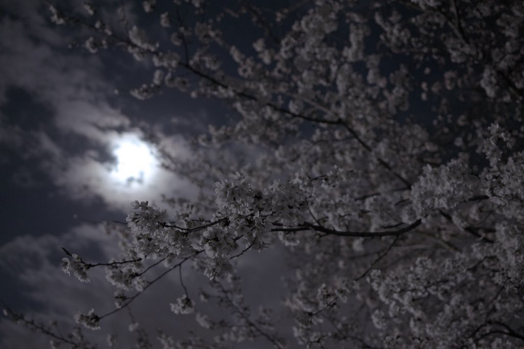 aftar66's tweet photo. ﴿ شهر رمضان الذي أُنزِل فيه القرآن ﴾.

إذا دعوت الله أن يبلغك #رمضان فلا تنسَ أن تدعوه أن يبارك لك فيه ، فليس الشأن في بلوغه وإنما الشأن ماذا ستعمل فيه.

• السعدي رحمه الله https://t.co/C9hguWKpfi