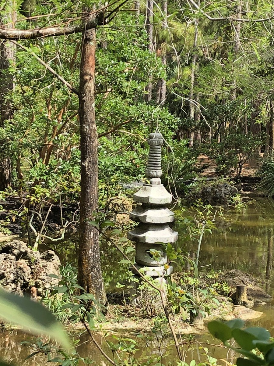 MireilledH's tweet photo. Morikami Museum and Japanese Gardens. What a beautiful walk in these important days for Japan! https://t.co/B9iNTu5ghc