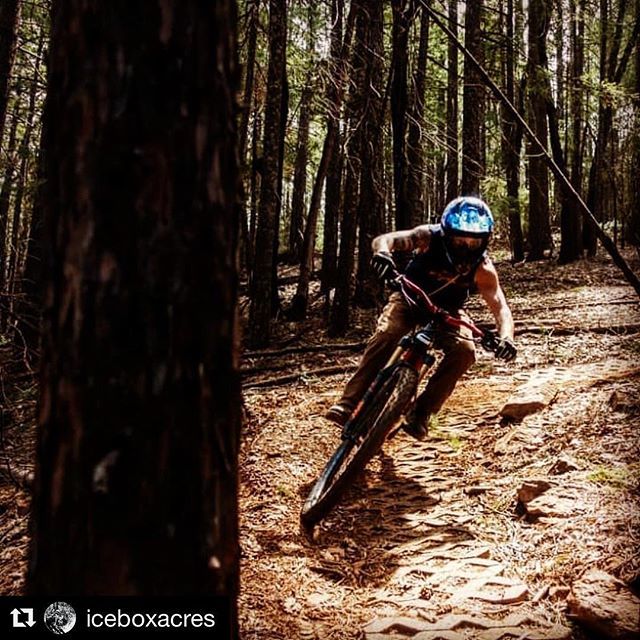 CaliExp's tweet image. The great wild hooting-and-hollering native, Josh Bender... Aka coach Bender. Bendie is one of the reason the stoke is so high in Georgetown. Along with our amazing crew of superheroes @iceboxacres @terraplanebikes @brianhappy @mountain_ginger @jushaffe … bit.ly/2VzjGzH