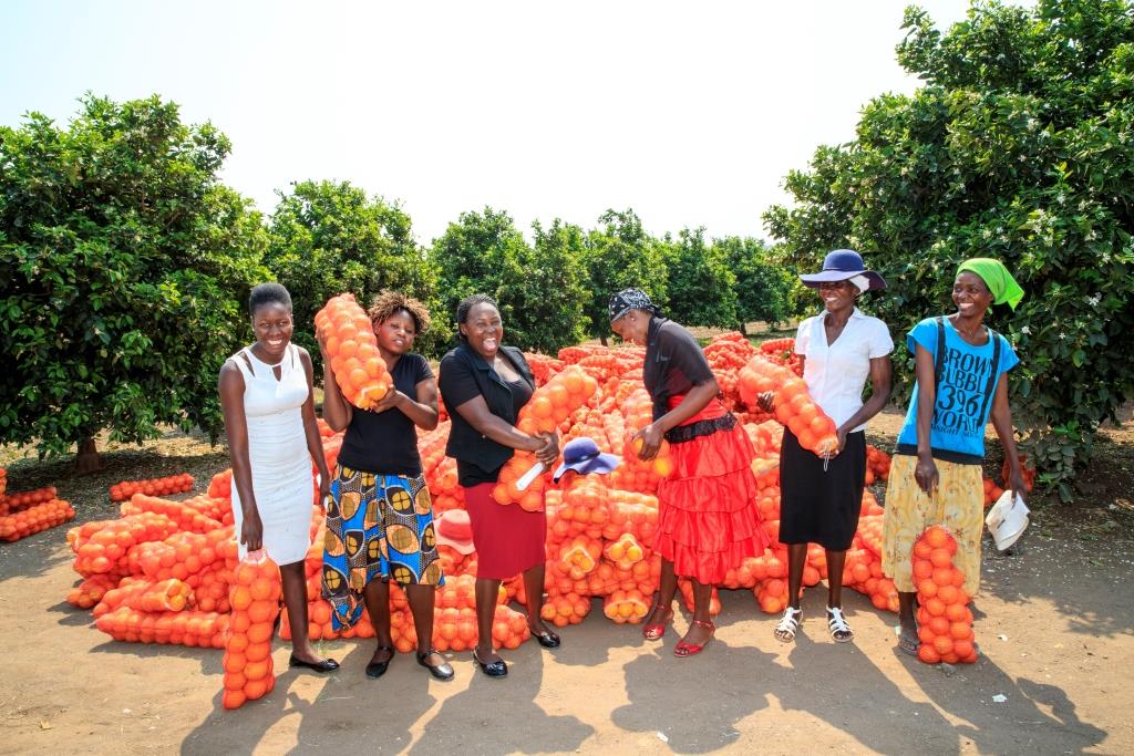 FondazioneCESVI's tweet photo. Buon #1maggio a tutte le lavoratrici e i lavoratori! Le nostre agricoltrici a Shashe in Zimbabwe sono fiere di poter coltivare la propria terra, prima arida e ora rigogliosa, e trarne un frutto prezioso come le arance. Una grande opportunità per il futuro di tutta la comunità 🍊 https://t.co/yXZvhq6Sk1