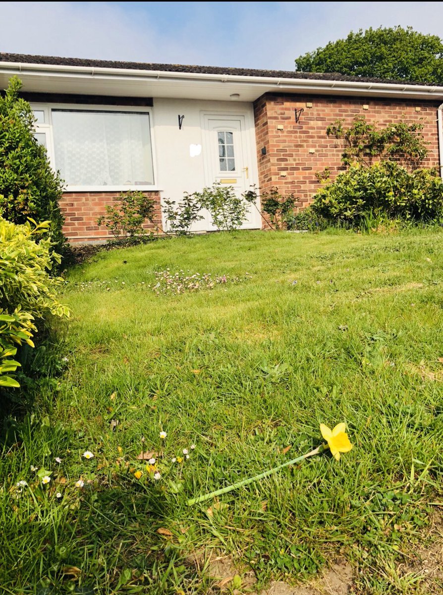 mrjakehumphrey's tweet photo. THREAD: 

People around the world are remembering the great #AyrtonSenna today. I’ve just taken a flower from my garden &amp; laid it here as a mark of respect.

This was Ayrton’s home in 1981, a non-descript, small bungalow on the edge of Norwich. 

He arrived here 28 years ago... https://t.co/fNbtUIHrtG
