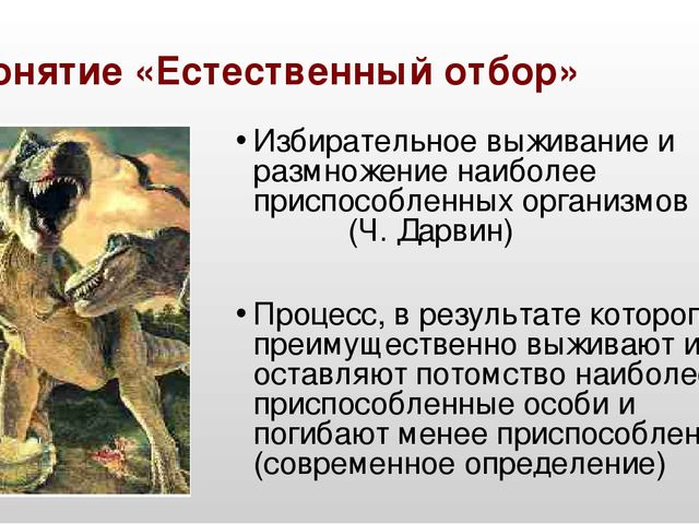 Выжить и оставить потомство. Выживает наиболее приспособленный. Выживают наиболее приспособленные виды. Выживают наиболее приспособленные виды. Отборы естественного отбора.