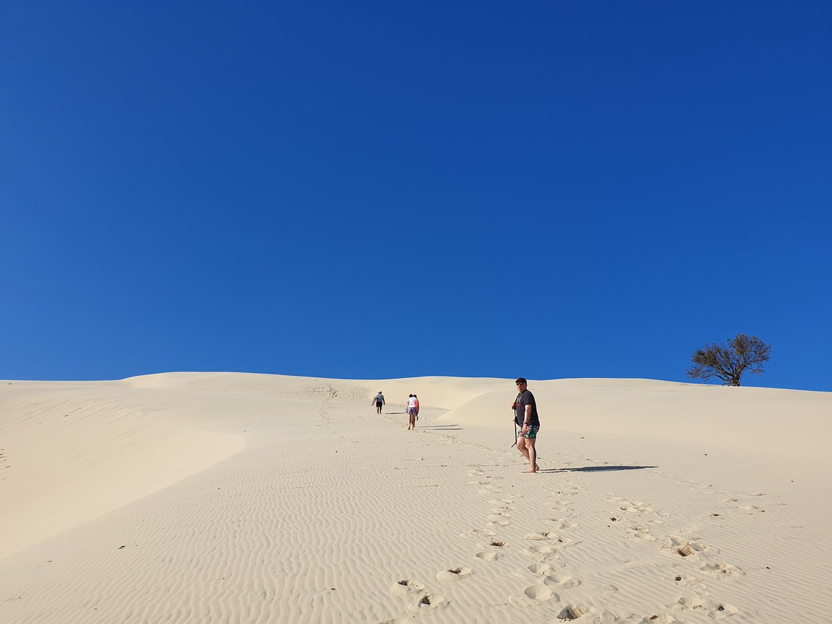 displacedaussie's tweet photo. Fantastic day surfing the sand dunes on Moreton Island #dunesurfing #sanddunes #sandislands #queensland #moretonbay #coastallife #australia #boogieboards #quadworkout https://t.co/oDssjsIMR1