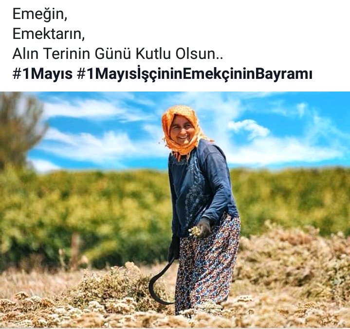 643Ve's tweet photo. 1 Mayıs İşçi Bayramı kutlu olsun @EmlakYonetim @Ayhan19Karaca @Emlakisletmeler @1192Aydogan @hkarakas6161 https://t.co/hOH3Fux7vf