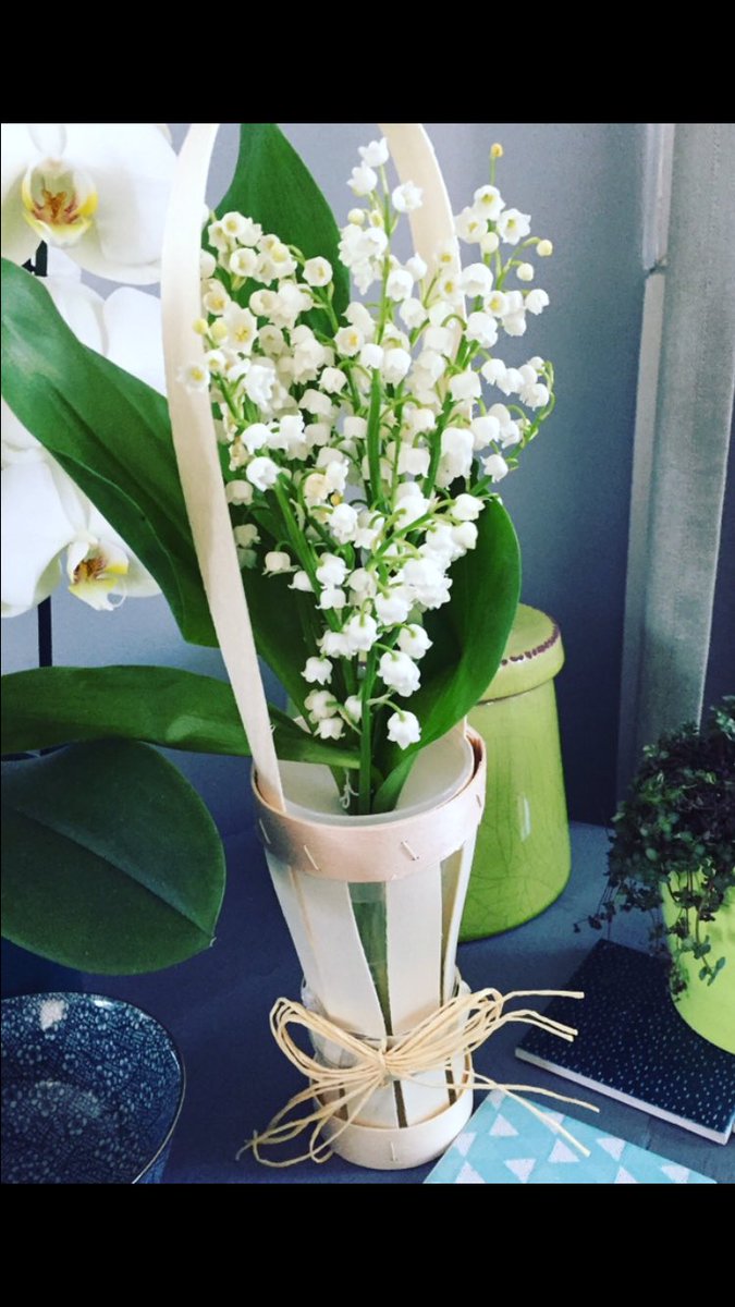 #1ER_MAI Revenons aux origines:les bouquets 2 muguet s'échangent sur trottoirs et ds les chaumières.  tradition 2 la Renaissance. le muguet = porte-bonheur offert depuis Charles IX. Ne plus revoir  Paris et les villes de  🇫🇷 barricadées, privées de liberté! Bon 1er mai #bonheur