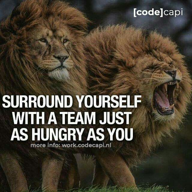 CodeCapi tweet media