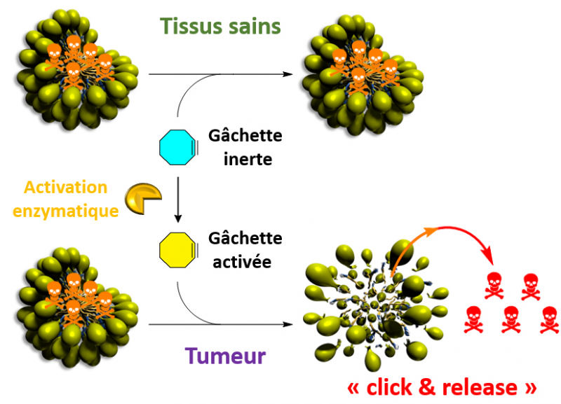 CNRSchimie's tweet photo. Des micelles activables par une réaction bioorthogonale pour contrôler la libération d’un #medicament
➡️ https://t.co/LvifMkSII1
🤝 @IC2MP @UnivPoitiers @CEAParisSaclay @DR08_CNRS
📕 @angew_chem | https://t.co/eMlILjP7Ja https://t.co/7Qzy55pEJr
