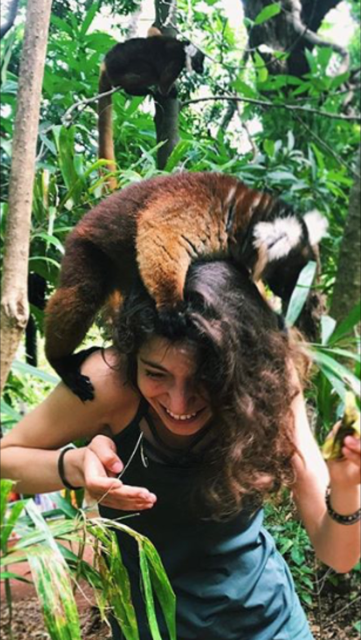 GapYearExperts's tweet image. Want to travel but not sure which program is right for you? Take our quiz to find out theleap.co.uk/gap-year-exper…