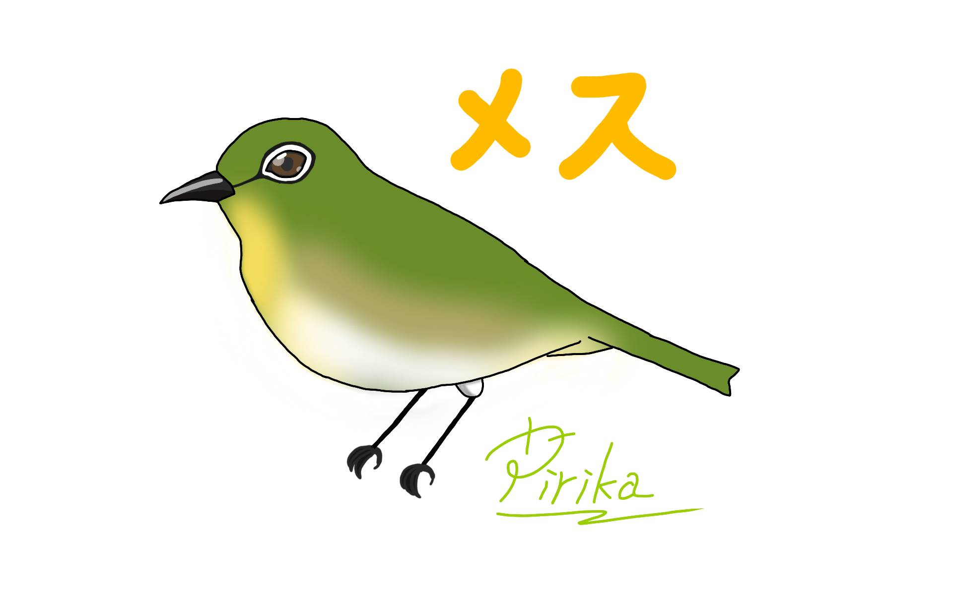 江藤ぴりか A Twitter メジロのオスとメス 合ってる