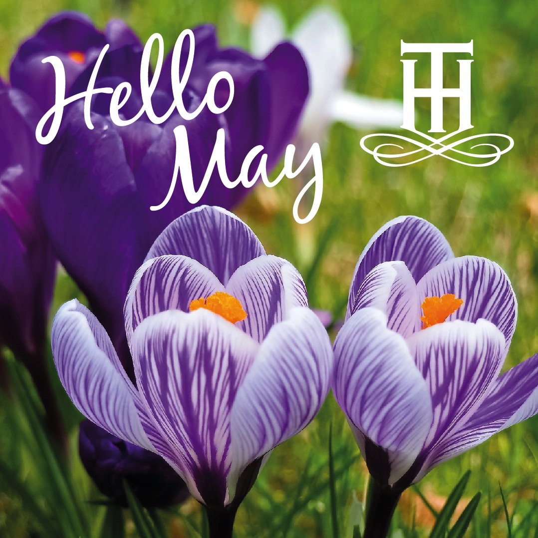 TrinityHouseCH's tweet image. #hello #May2019 💮💮💮💮🌼🌼🌼🌼