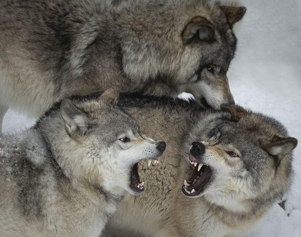 It's a new month, make it an amazing one! It's May 01, 2019 at 05:01AM Photo via natgeo