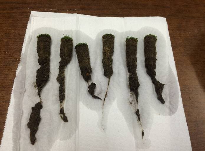 Brent J. Smith tweet media