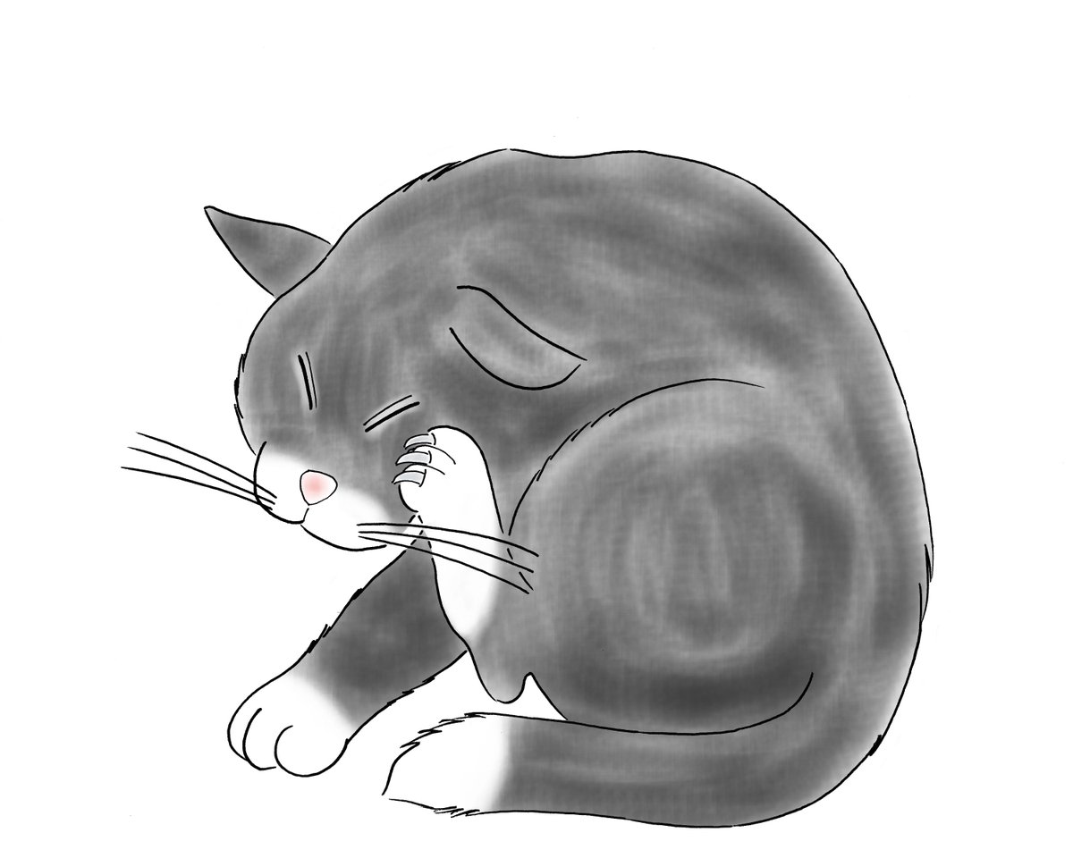 フーフーキャット Foofoocatjp Twitter フーフーキャット Foofoocatjp Twitter