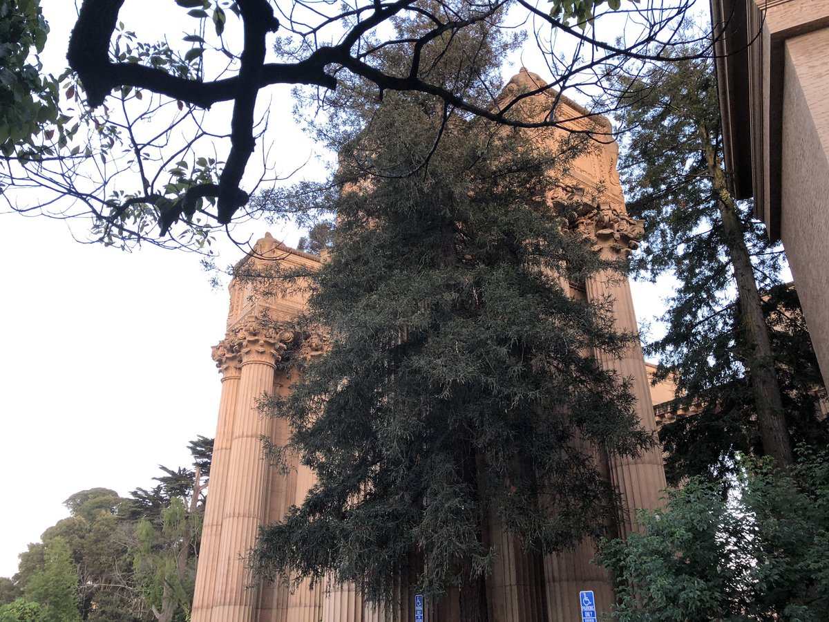 OpenShiftNinja's tweet image. @DockerCon party @Docker #DockerCon19 #DockerCon2019