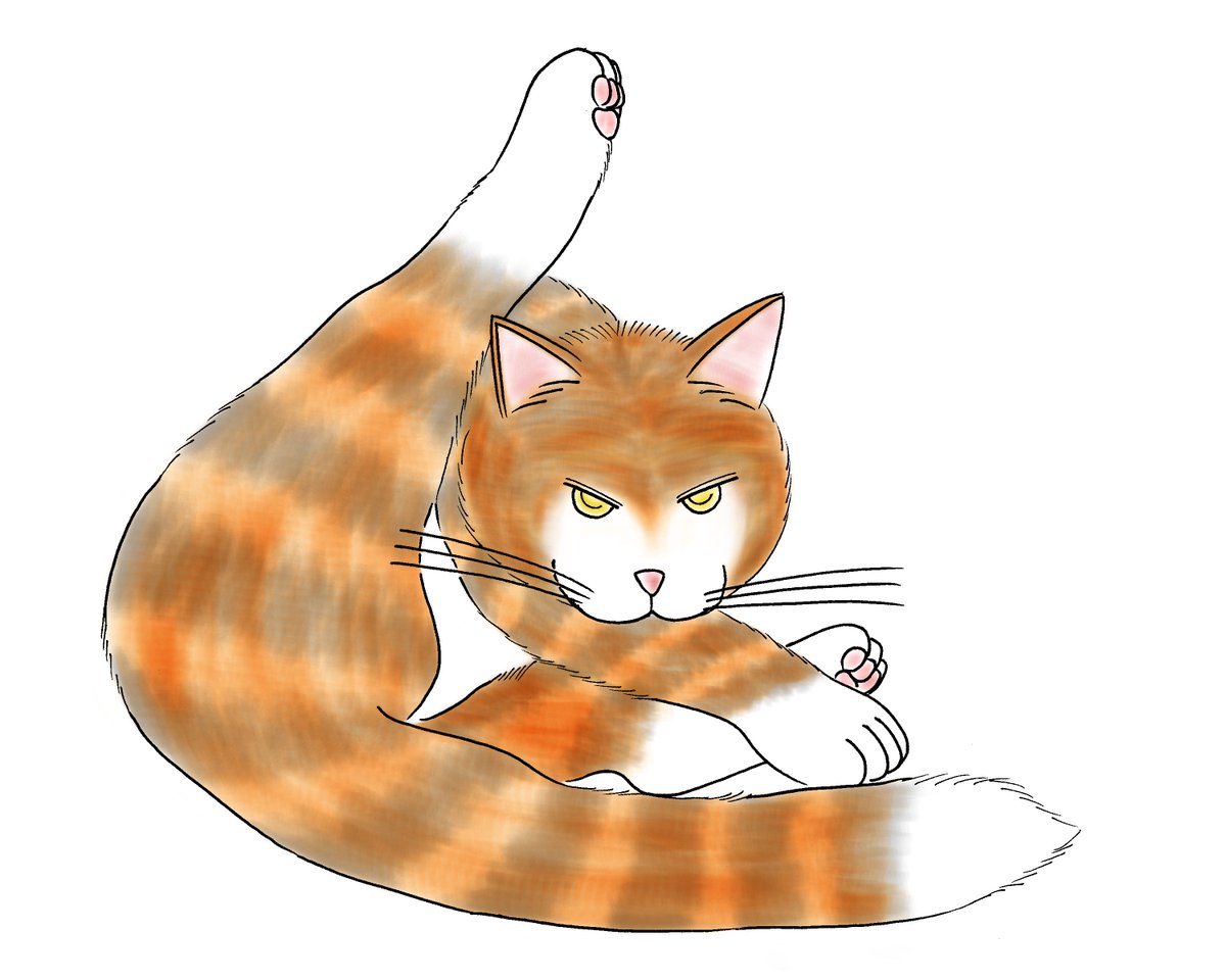 フーフーキャット Foofoocatjp Twitter