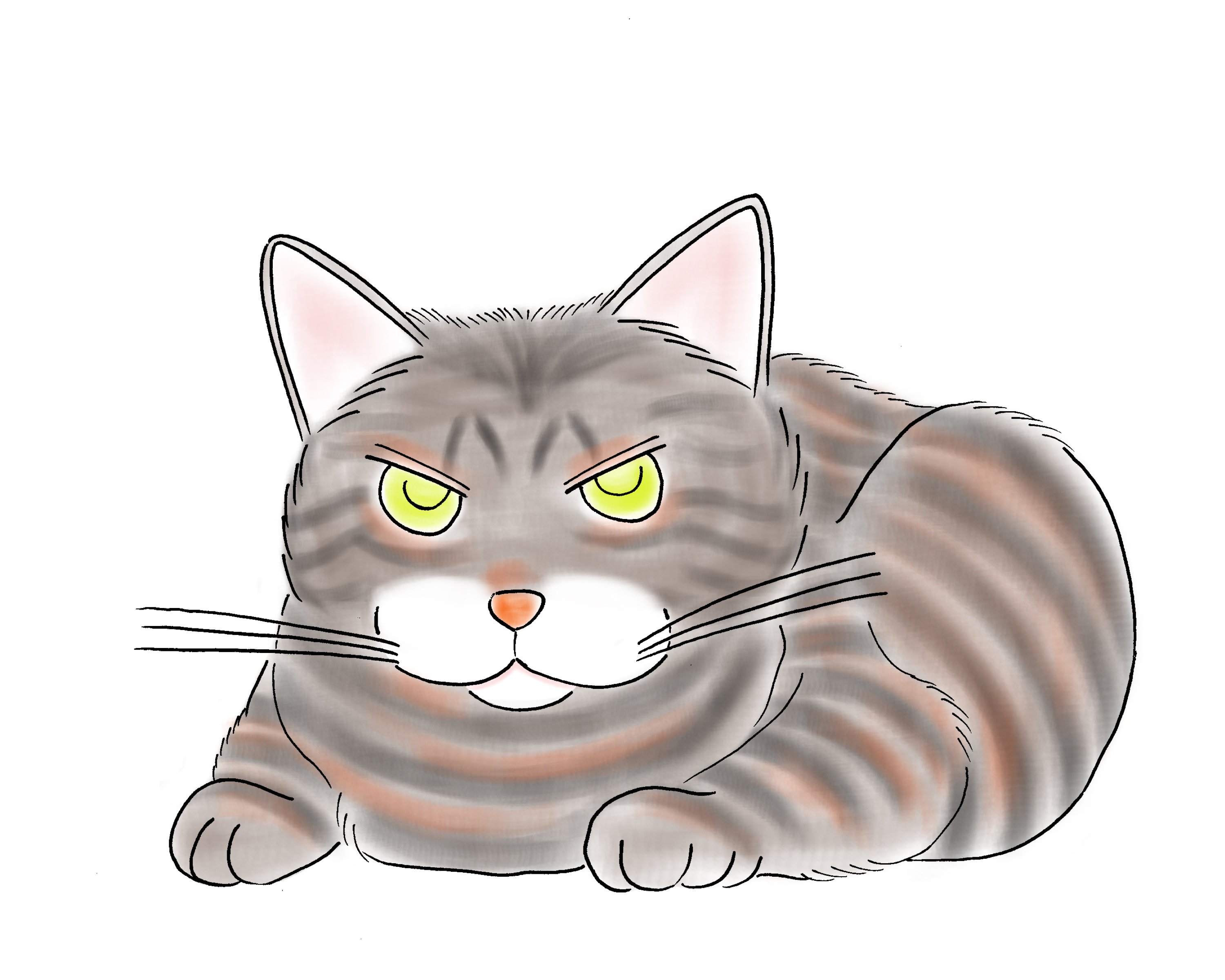 フーフーキャット Foofoocatjp Twitter