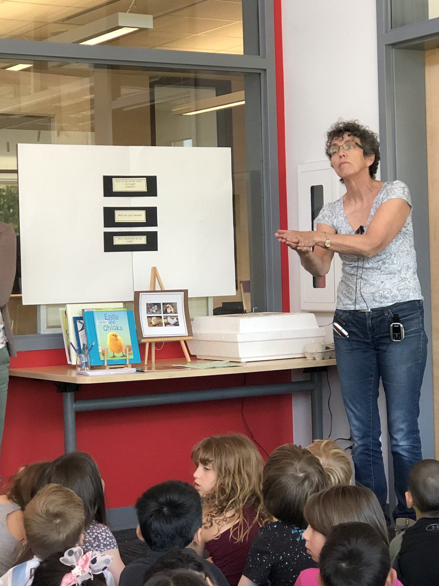 kmac_50's tweet image. The eggs have arrived!! Learning about life cycles in Sword fern Community. Chicks expected in 21 days! #inquiry @RosePointSchool